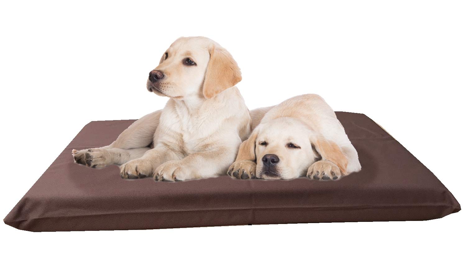Premium High-Density Gel-Infused Memory Foam Dog Bed - Orthopedic Support with Waterproof All-Weather Cover (45