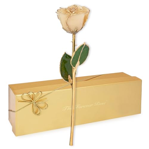 Real White Rose