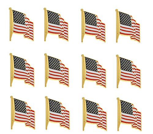 12 pack waved flag pin