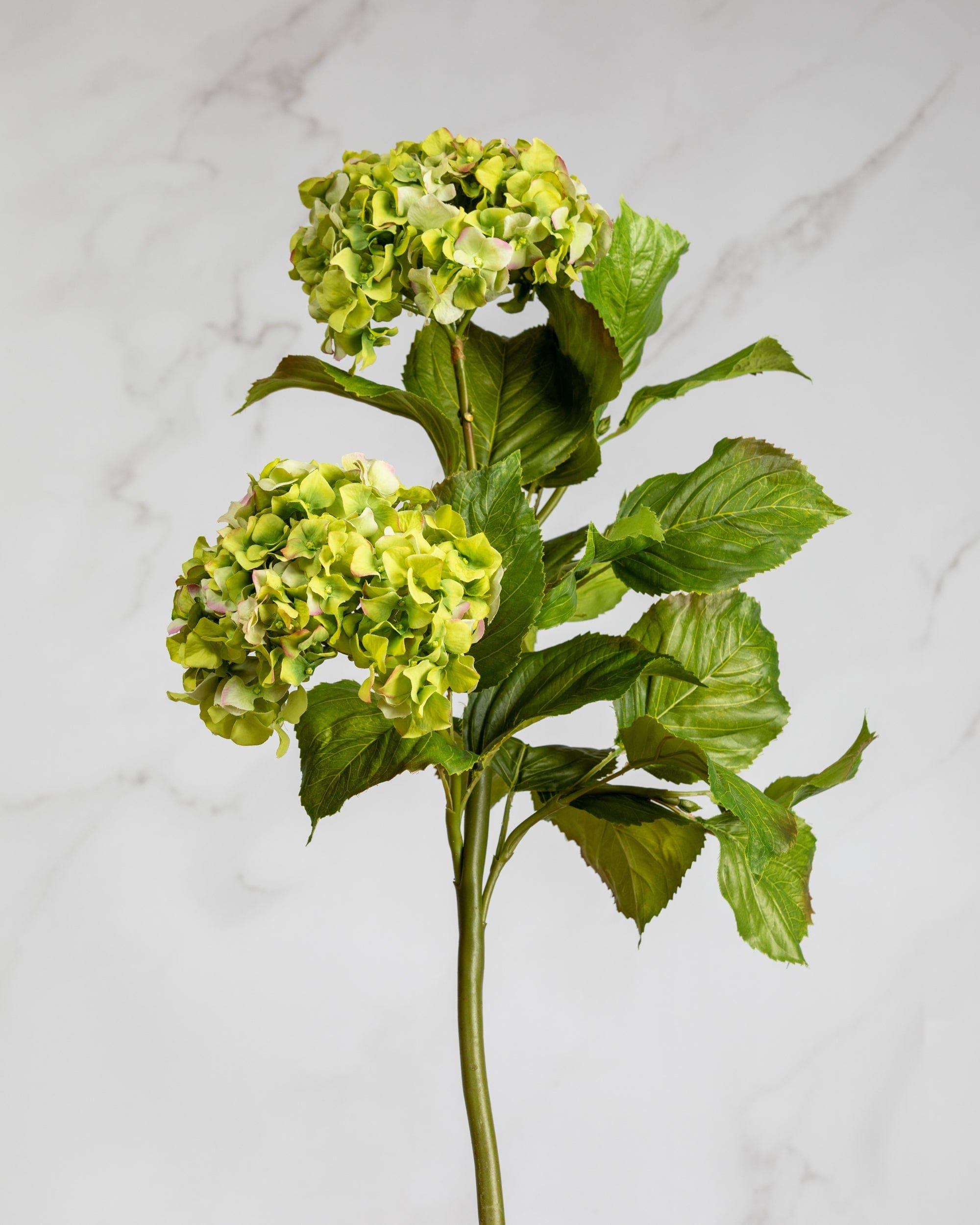 Artificial Green Double Hydrangea Silk Flowers - 36