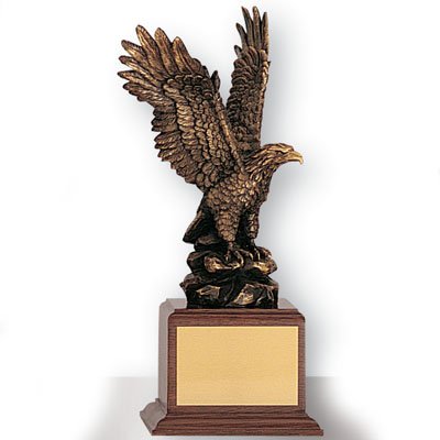 Custom Brass Eagle Trophy - Engravable Patriotic Award for Employee & Military Recognition | 12 Inch