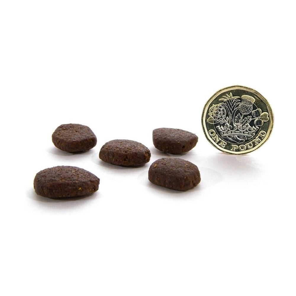 Grain Free Scottish Salmon Dry Dog Food - High Protein, Hypoallergenic, Healthy Skin & Coat - Perfect for Adult Dogs with Sensitive Stomachs or Allergies