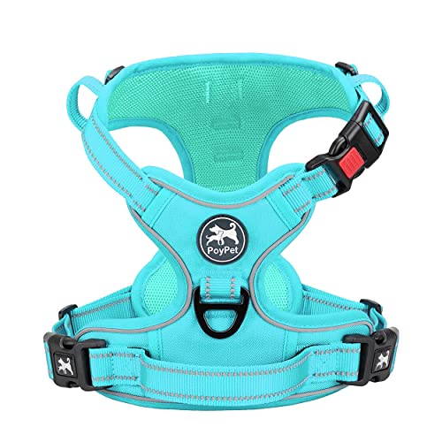 Mint Blue(Matching Trim)