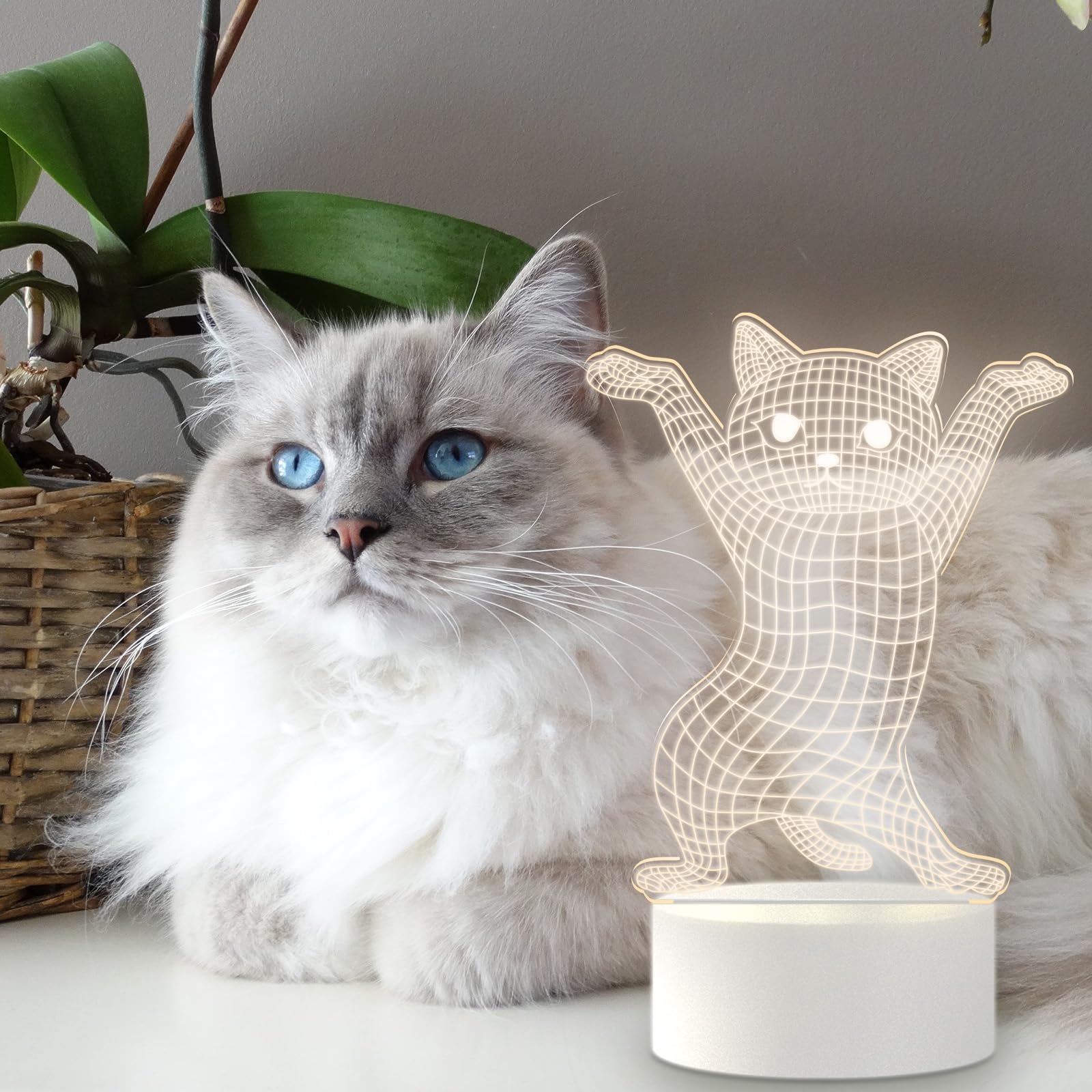 Funny Dancing Cat Night Light - 3D Illusion Dimmable LED Lamp for Cat Lovers | Cute Bedside Decor with Soft White Light | Perfect Gift for Bedroom, Nursery, or Home Office