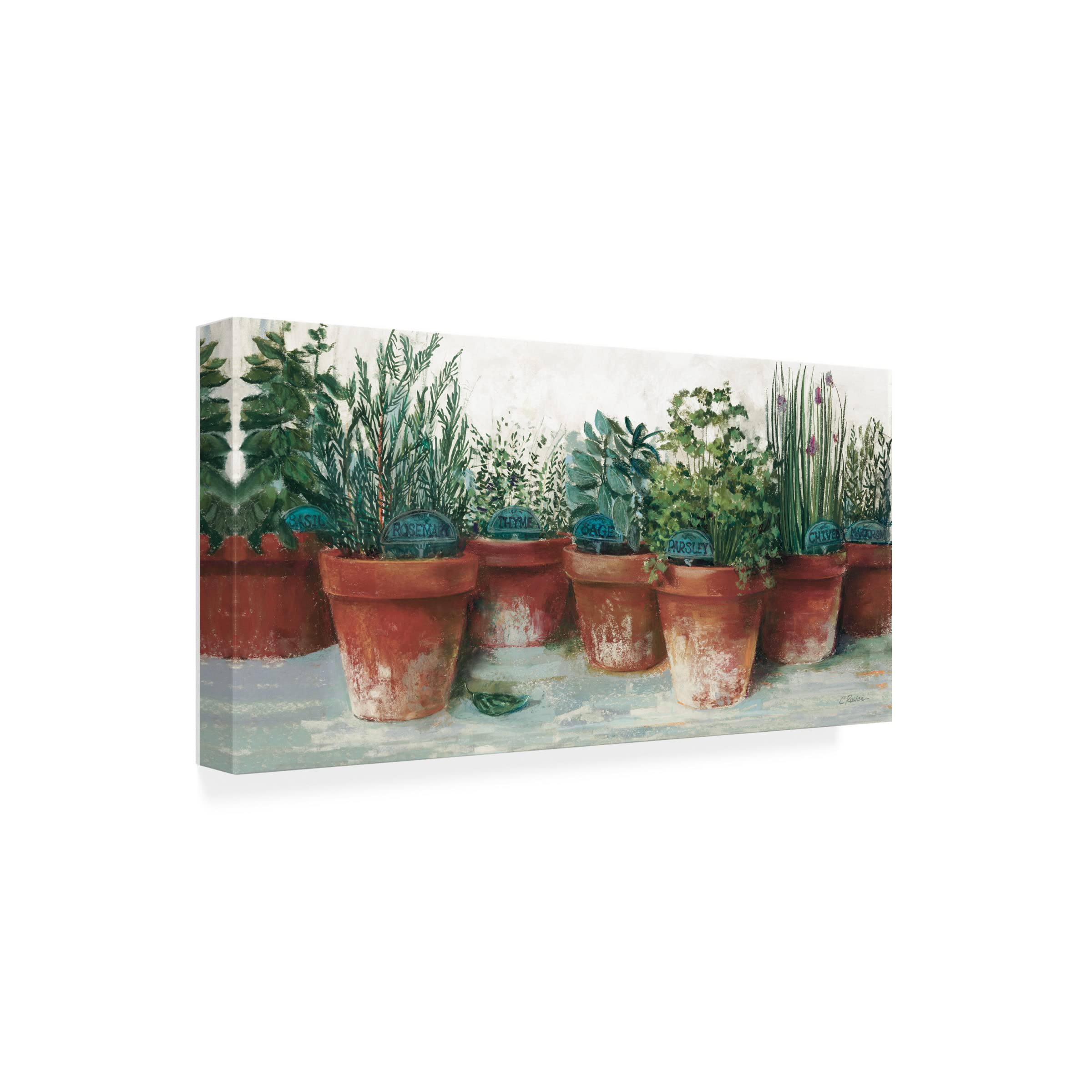 Carol Rowan 'Pots of Herbs II White' Floral Canvas Wall Art Print - 24x47 Inches, Modern Home Decor for Living Room, Bedroom & Office
