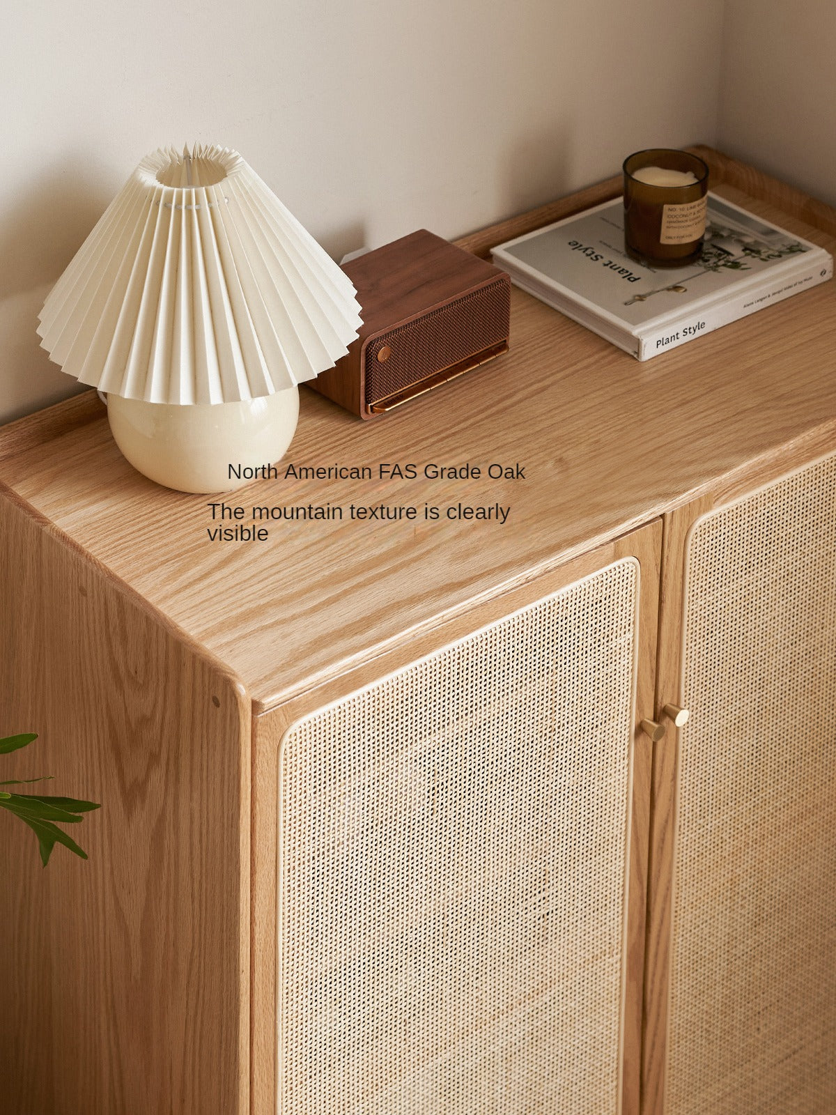 Solid Oak Wood Shoe Storage Cabinet with Rattan Doors - Organize Shoes Neatly in Entryway, Bedroom or Closet