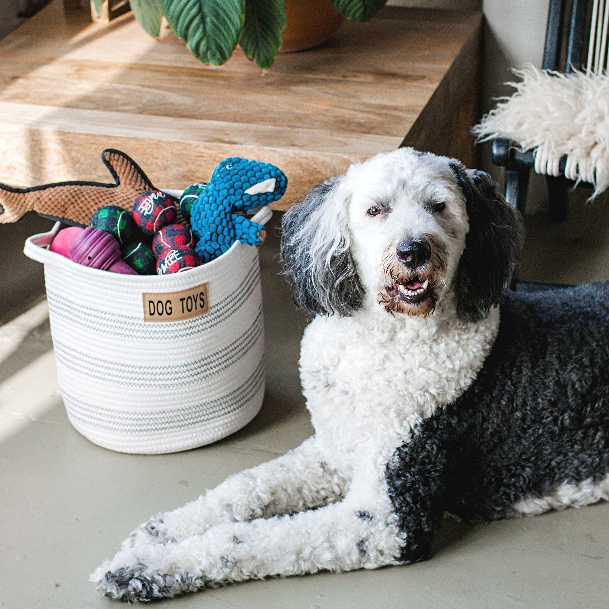 Midlee Large Cotton Rope Dog Toy Basket - Pet Storage Organizer Bin for Toys, Leashes & Accessories | Perfect for Living Room, Bedroom & Pet Play Areas