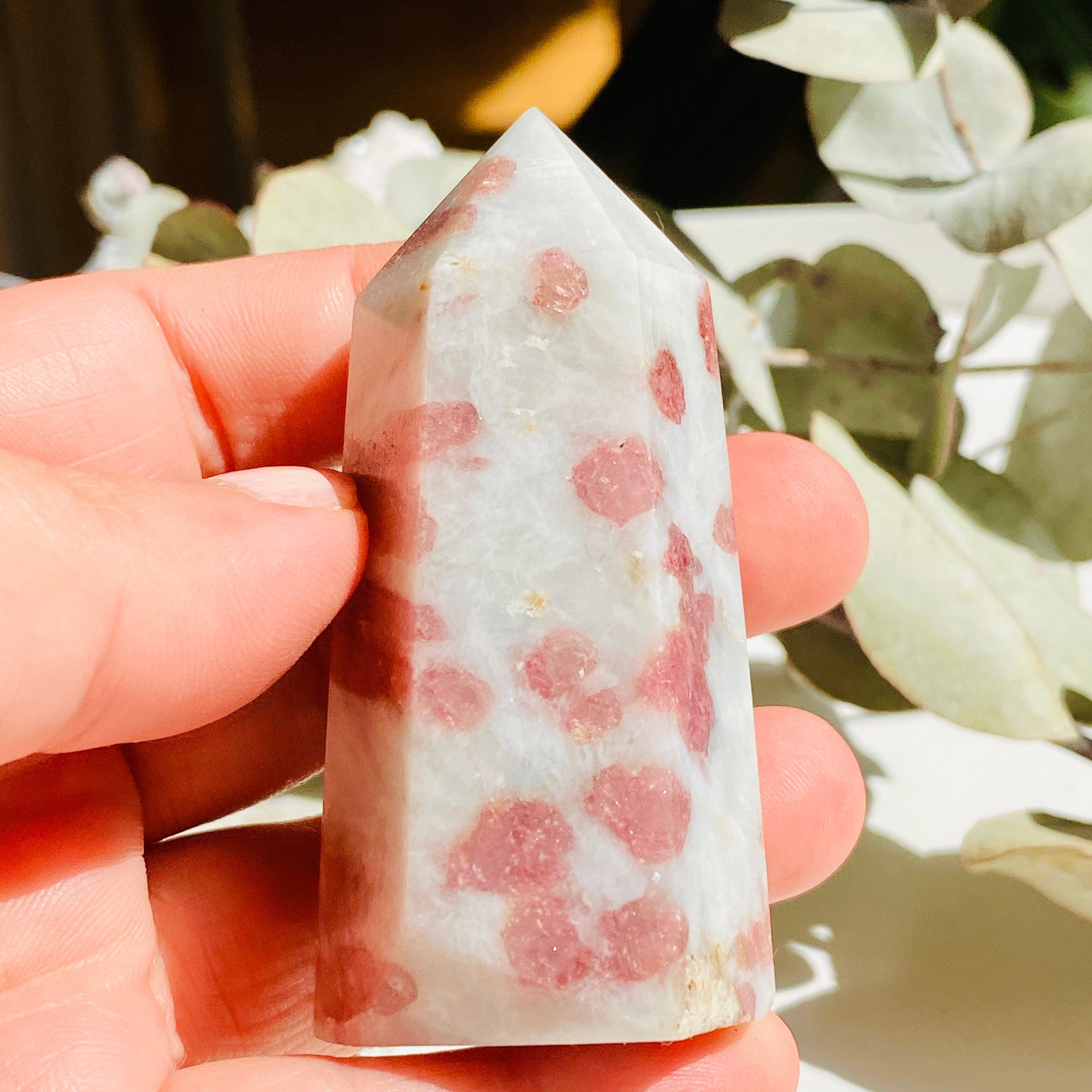 Natural Pink Tourmaline in Schist - Small Point Specimen c1450 | Gemstone Collection, Healing Crystals & Mineral Display for Home Decor