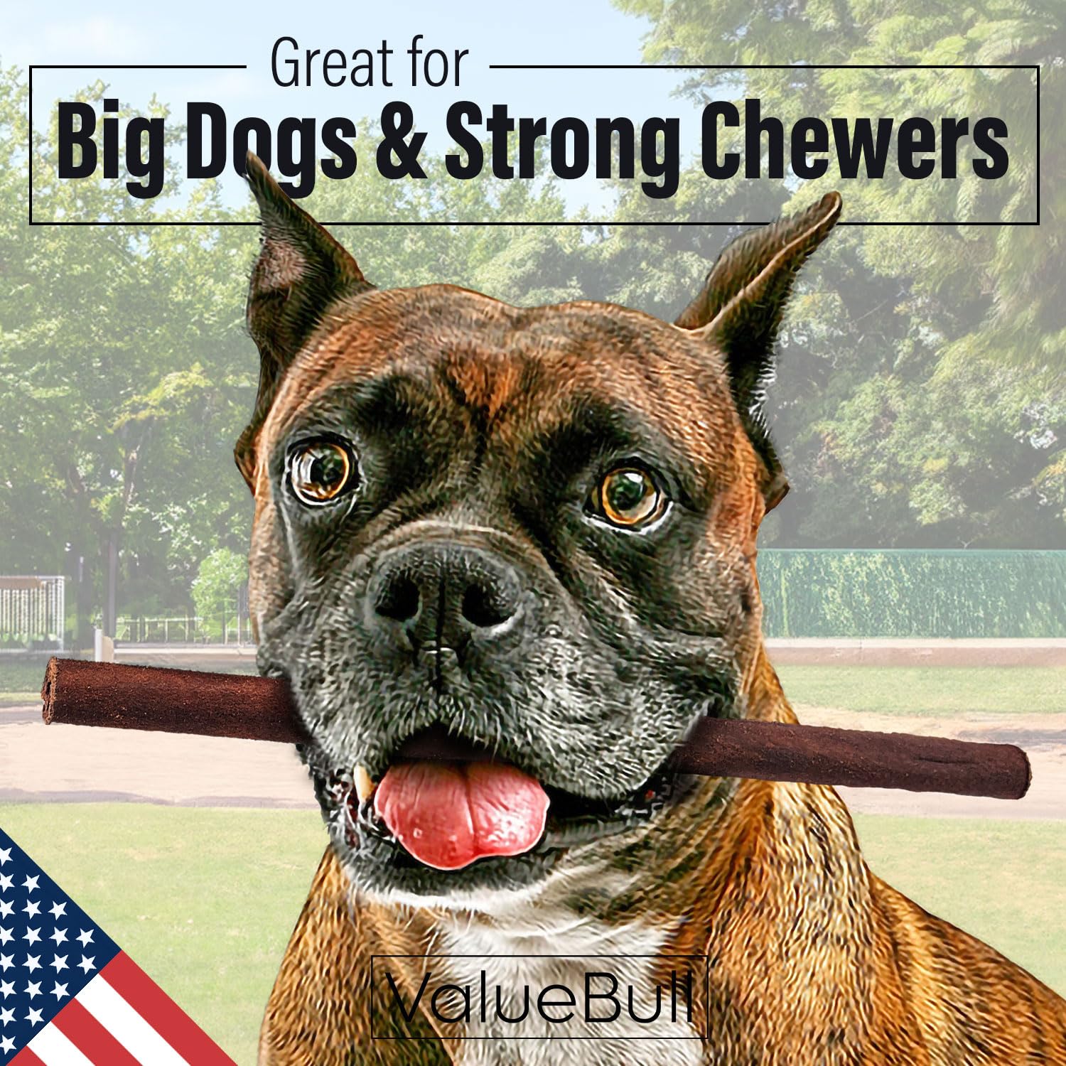 ValueBull USA 12-Inch Thick Collagen Sticks for Dogs - Natural Single Ingredient Chews, Long-Lasting Bully Stick & Rawhide Alternative (50 Count Bulk Pack) | Supports Hip & Joint Health, Promotes Healthy Skin & Coat - Perfect for Training, Teething, and Dental Care