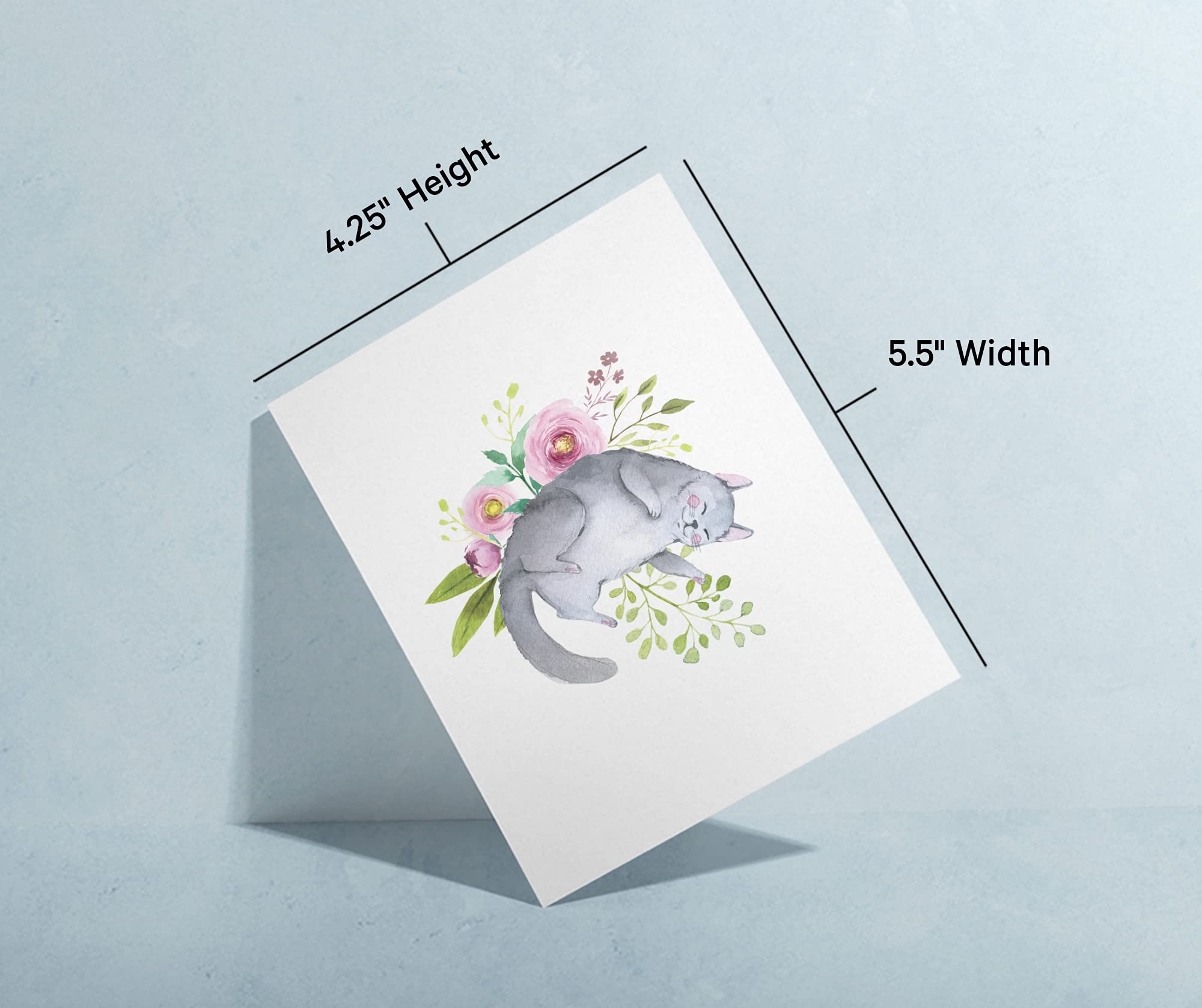 Twigs Paper - 12-Pack Assorted Cat Greeting Cards with Envelopes (5.5x4.25 in) - Blank Note Cards for Thank You, Birthday & All Occasions - USA Made Stationery - Perfect for Cat Lovers, Pet Owners & Handwritten Notes