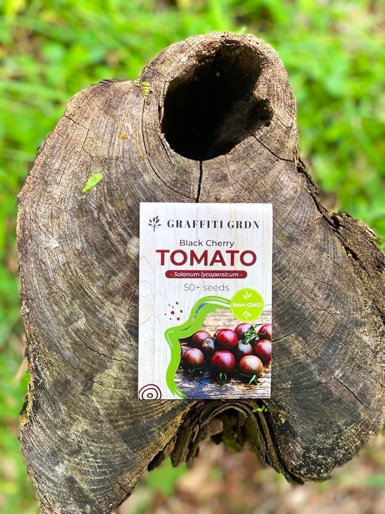 Organic Black Cherry Tomato Seeds (Solanum Lycopersicum) - 50+ Non-GMO Heirloom Seeds for Planting - Perfect for Home Gardens, Containers & Fresh Salads