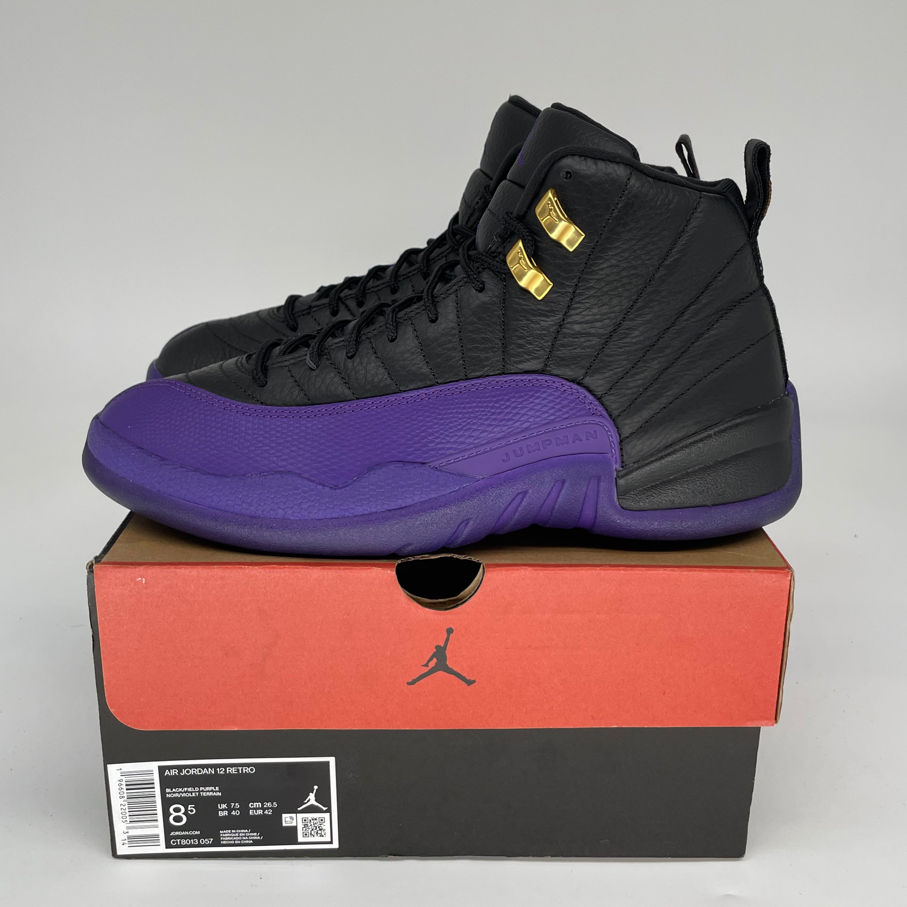 Air Jordan 12 Retro 