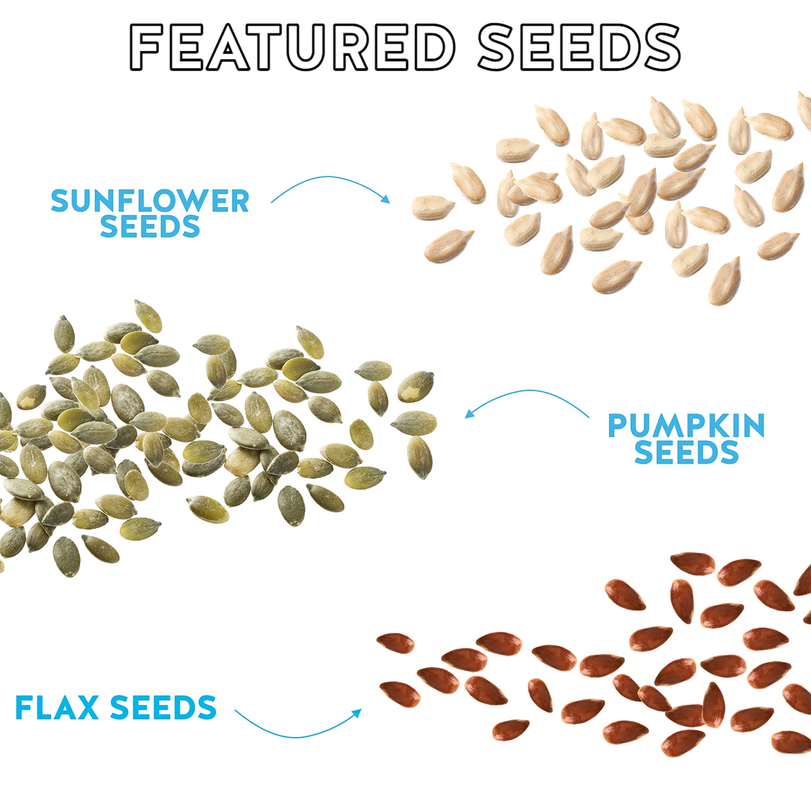 Blake’s Seed Based Rice Crispy Treats - Chocolate Chip (6 Count) | Nut Free, Gluten Free, Dairy Free & Vegan Healthy Snacks | Organic Low Calorie Soy Free Snack for Kids & Adults | Perfect for School Lunches, Office Snacking & On-the-Go Energy Boost