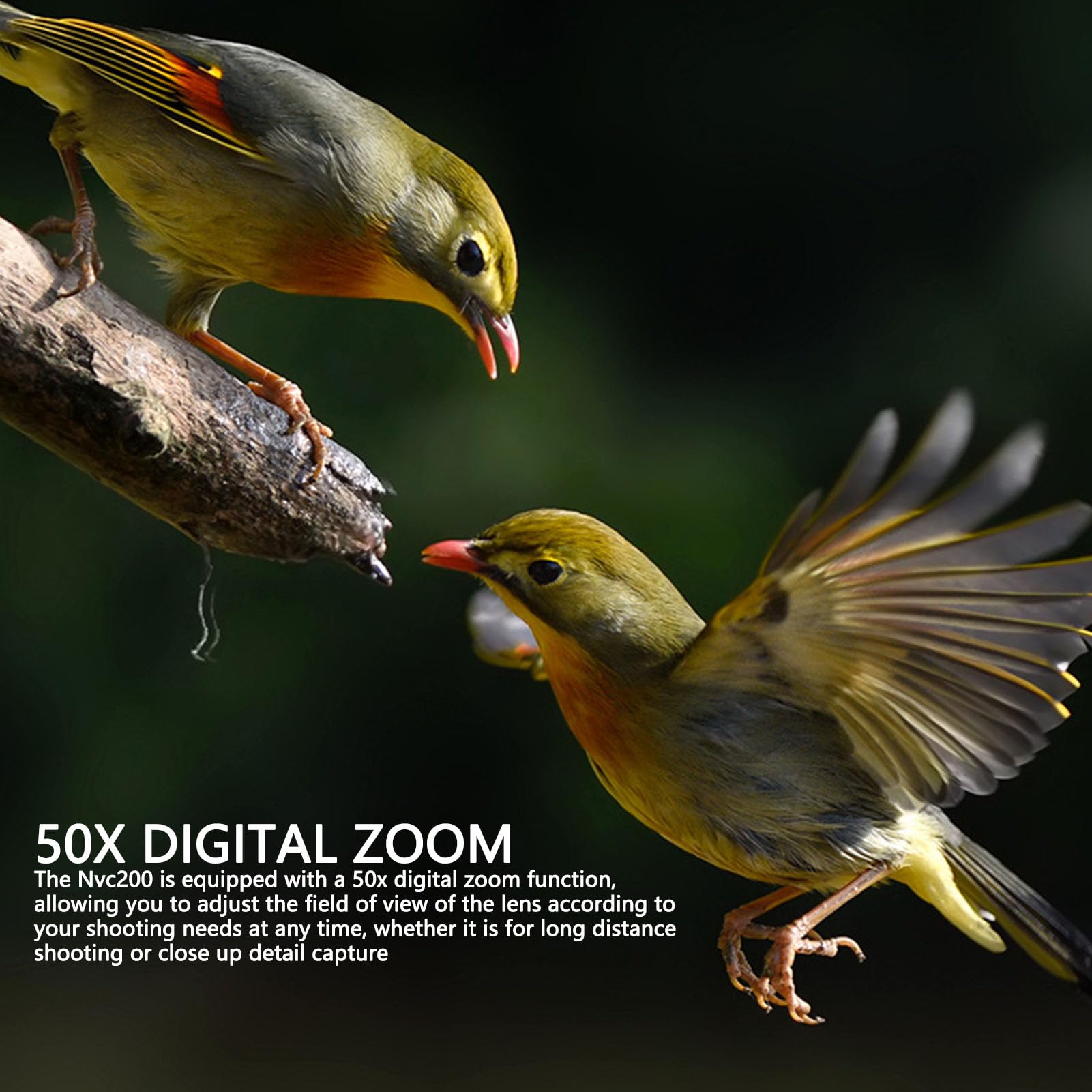 5K Digital Camera, 50MP WiFi Vlogging Camera with 50X Digital Zoom, Night Vision Autofocus Anti-Shake Compact Camera with 4