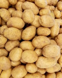 A-potato Food Funny