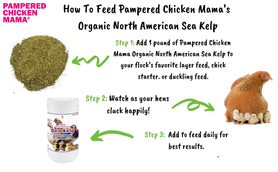 Organic Kelp for Chickens & Ducks - 1lb Natural Poultry Feed Supplement with Vitamins | Healthy Chicken Vitamins & Minerals | Perfect for Egg Laying Hens, Backyard Flocks & Duck Nutrition | Farm-Raised Poultry Care