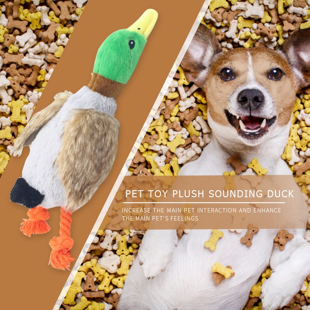 Durable Dog Toys for Aggressive Chewers - Tough Chew Proof Mallard Duck Plush Toy with Squeaker & Rope for Small to Medium Dogs - Perfect for Indoor Play, Outdoor Fetch & Teething Puppies