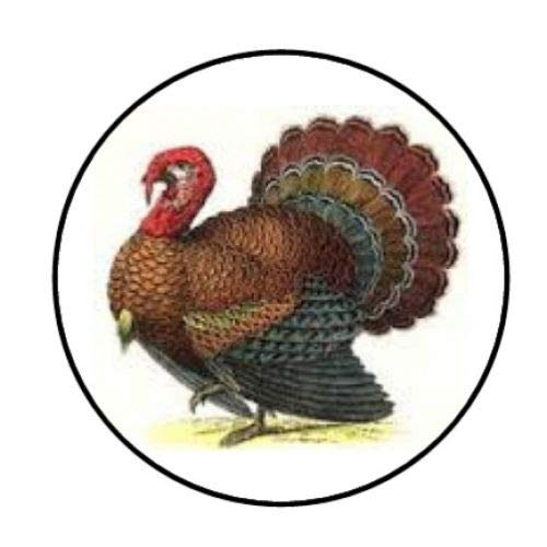 48pcs Thanksgiving Turkey Seals - 1.2