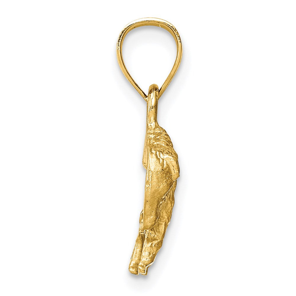14K Gold Diamond-Cut Buffalo Pendant Necklace for Men & Women - Western Style Jewelry Gift for Cowboy, Rodeo, and Native American Fashion Enthusiasts
