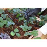 **Automatic Greenhouse Irrigation Kit - Drip Watering System for Indoor & Outdoor Greenhouses - Perfect for Hydroponics, Vegetable Gardens, and Plant Nurseries**