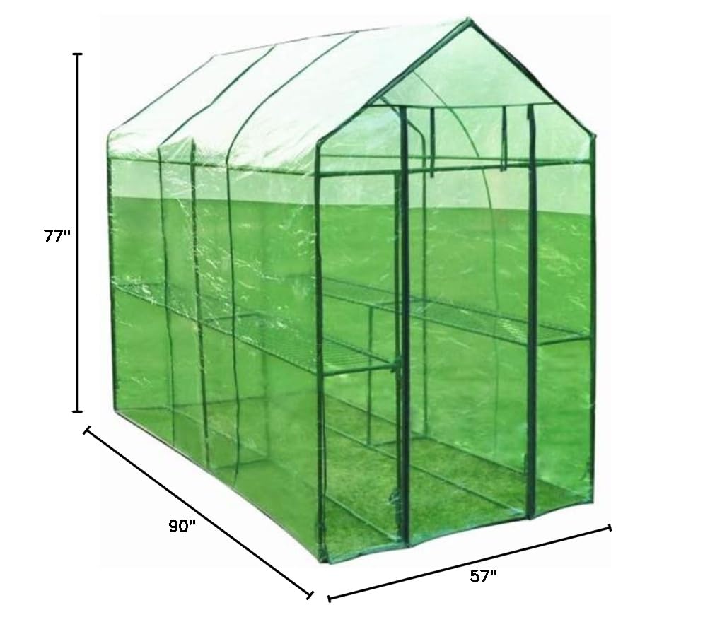 BLUECC Outdoor Greenhouse with 2 Shelves, 3'11
