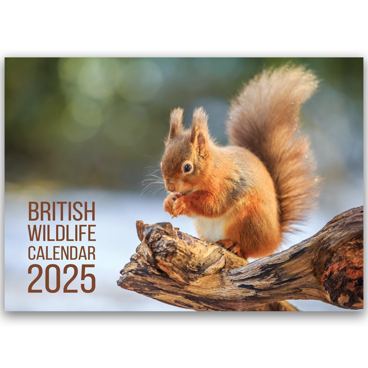 **2025 British Wildlife Calendar - A3 Month-to-View with 12 High-Resolution Nature Photos | Perfect Gift for Nature Lovers, Birthday & Holiday Presents | Ideal for Home, Office & Classroom Decor**