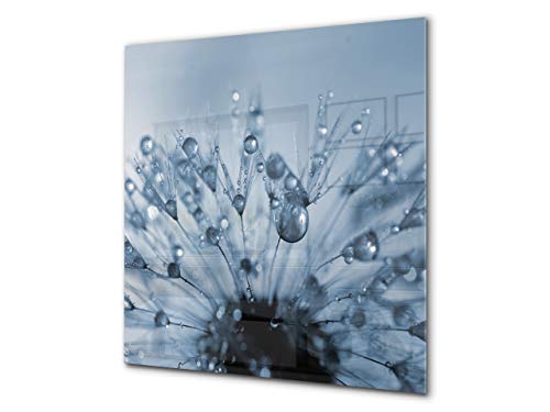 Dandelion Drops 2