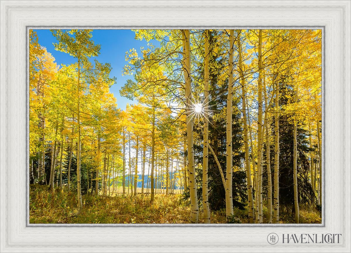 Autumn in the Rocky Mountains - Stunning Fall Foliage at Wasatch National Forest Utah | Perfect for Hiking, Photography & Nature Exploration