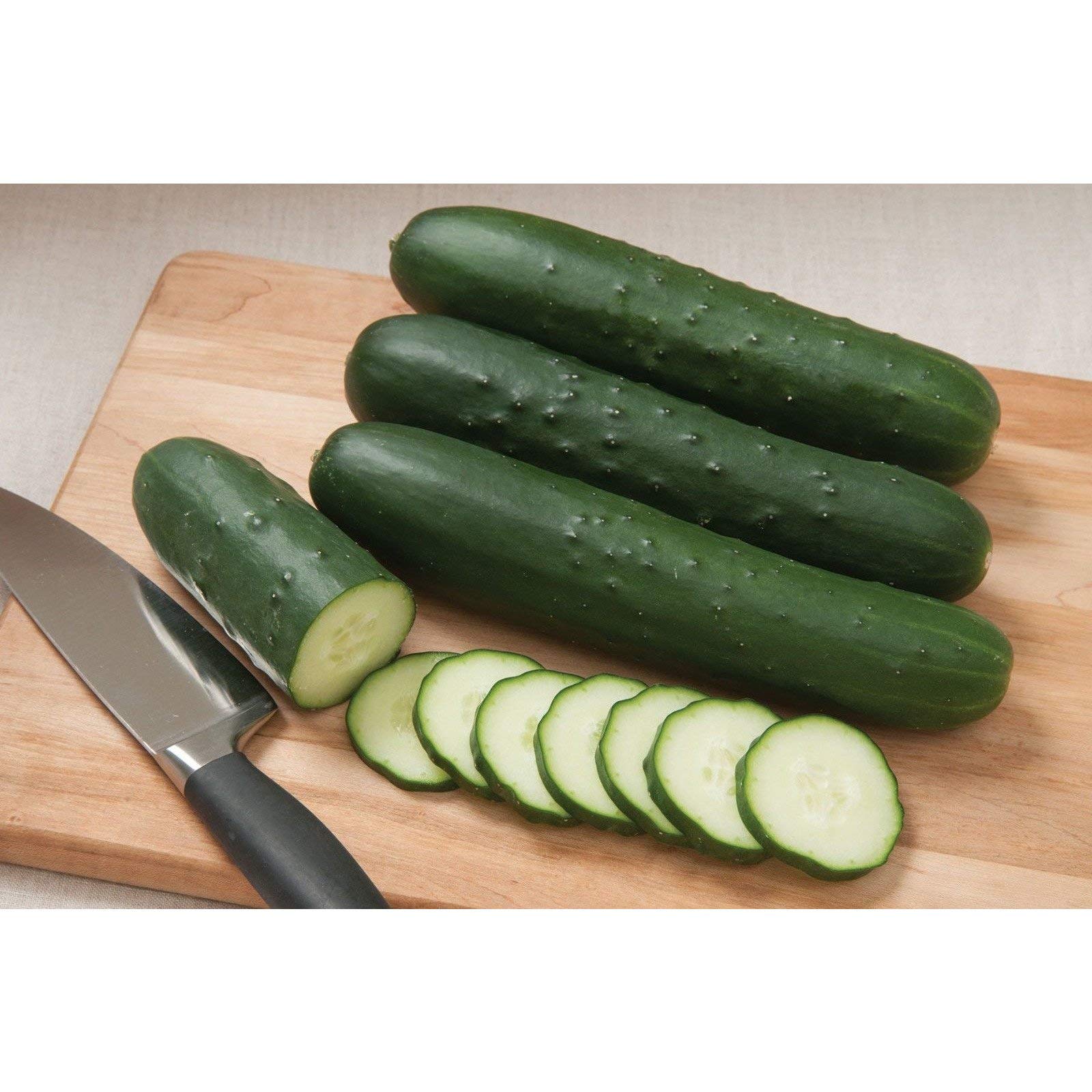 SV4719CS F1 Hybrid Cucumber Seeds - 30+ Seeds Pack - High Yield, Disease Resistant - Perfect for Home Gardening, Greenhouses & Organic Farming