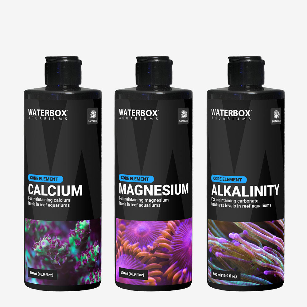 Core Elements Pack - Calcium, Alkaline, Magnesium Supplement for Bone & Muscle Health | Supports Digestion & Hydration | Perfect for Athletes, Fitness Enthusiasts & Active Lifestyles