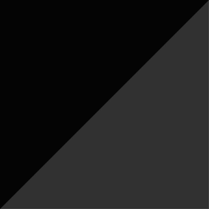 Black/Pewter