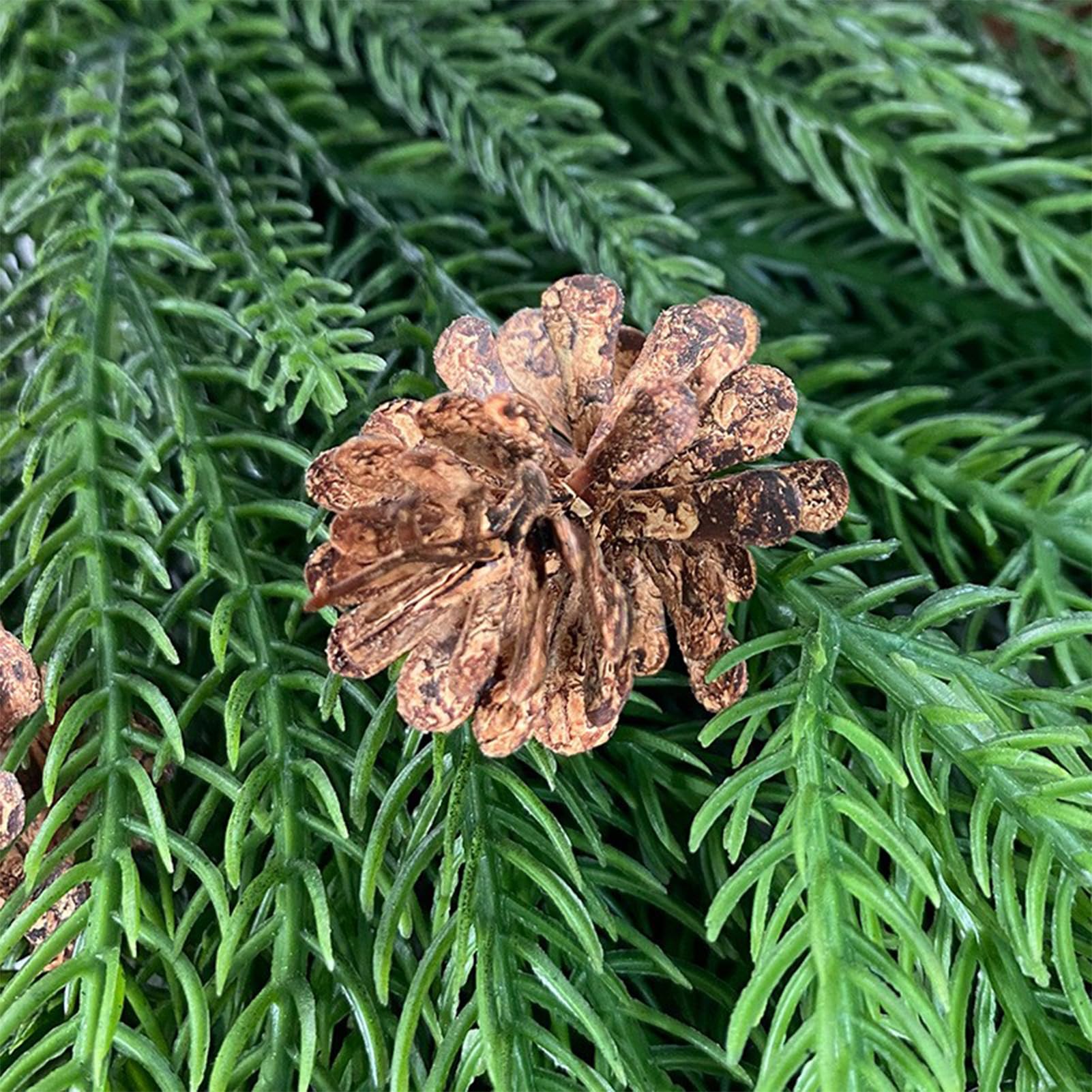 Artificial Christmas Teardrop Swag - Real Touch Norfolk Pine with Pine Cones | Long Needle Pine Greenery Wreath for Front Door, Wall, Window & Stair Decor | Perfect for Holiday Home, Office & Festive Party Decoration