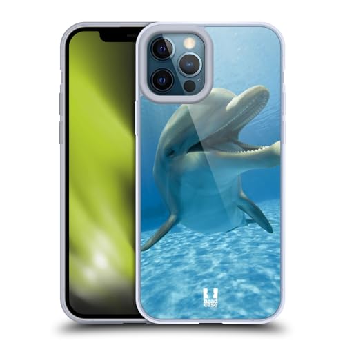 Close-Up Dolphin