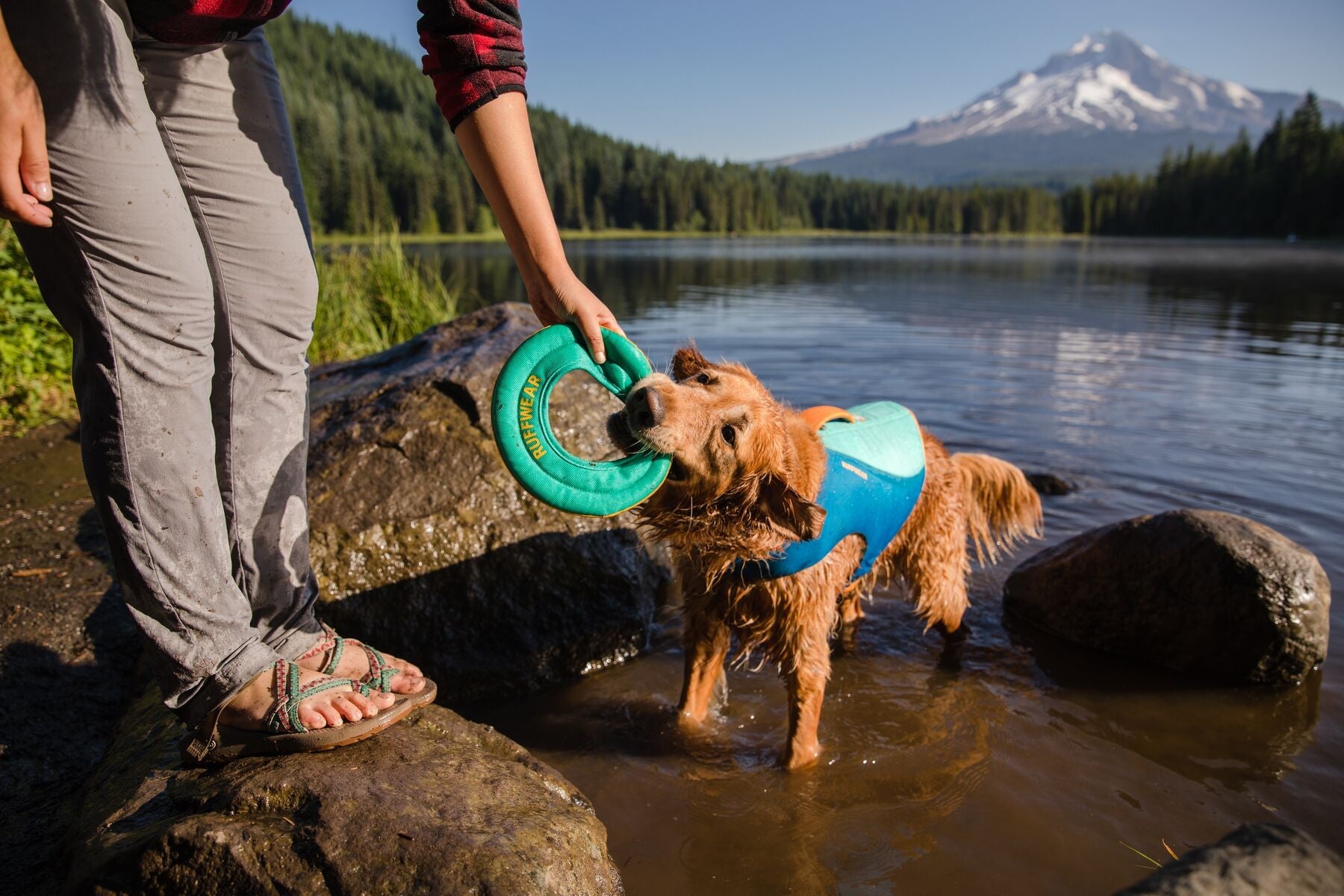 Ruffwear Hydro Plane™ Floating Dog Disc Toy - Tangelo Orange, Waterproof & Durable for Pool, Beach & Outdoor Play - Perfect for Fetch Games with Dogs