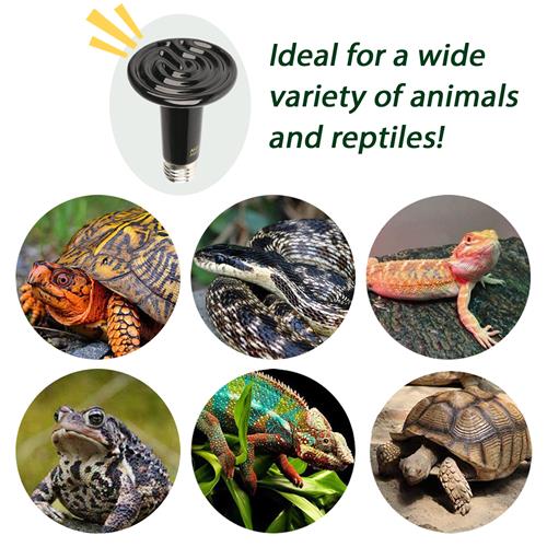 75W Reptile Heating Lamp & Heat Emitter Set - Perfect for Terrariums, Snake Tanks & Lizard Habitats
