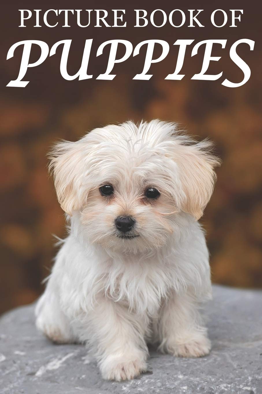 Picture Book of Puppies: Cute Animal Photo Book for Seniors with Dementia & Alzheimer's - Large Print Therapy Activity Book for Memory Care, Nursing Homes & Relaxation