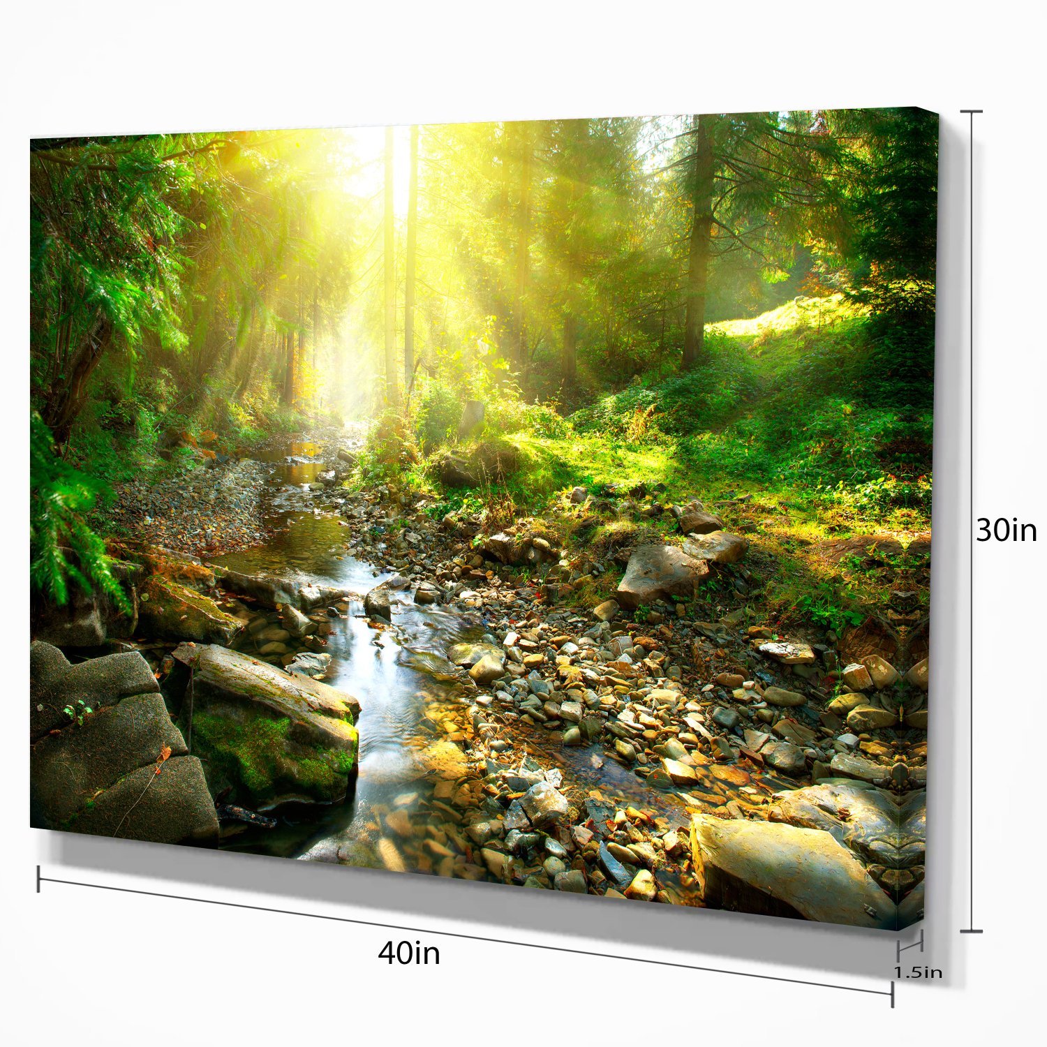 Stunning Mountain Stream in Forest Landscape Photography Canvas Print - Nature Wall Art for Living Room, Bedroom & Office Decor