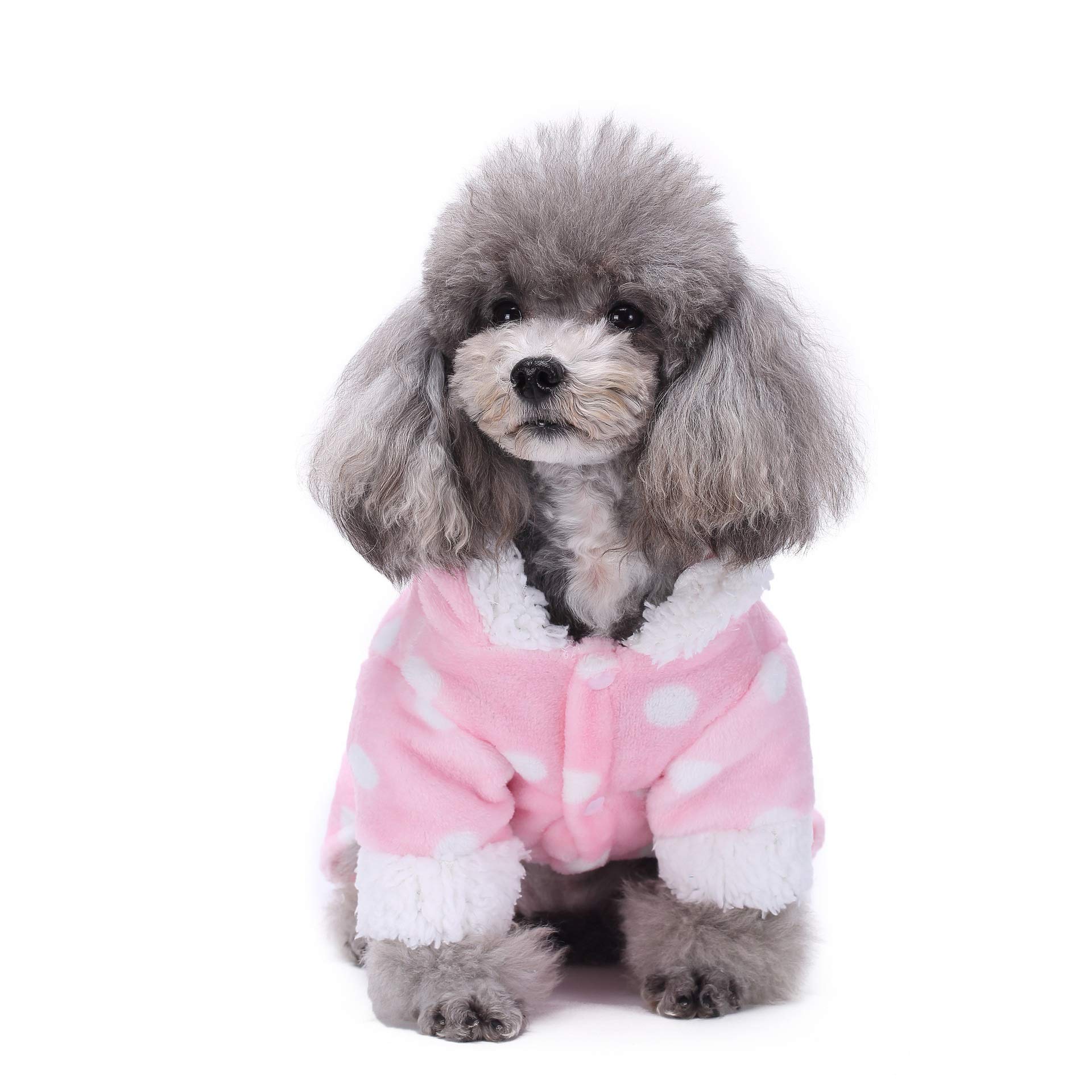 Pink Polka Dot Dog Clothes for Small Dogs - Cute Pet Apparel & Puppy Outfit - Perfect for Daily Walks, Photo Shoots & Special Occasions