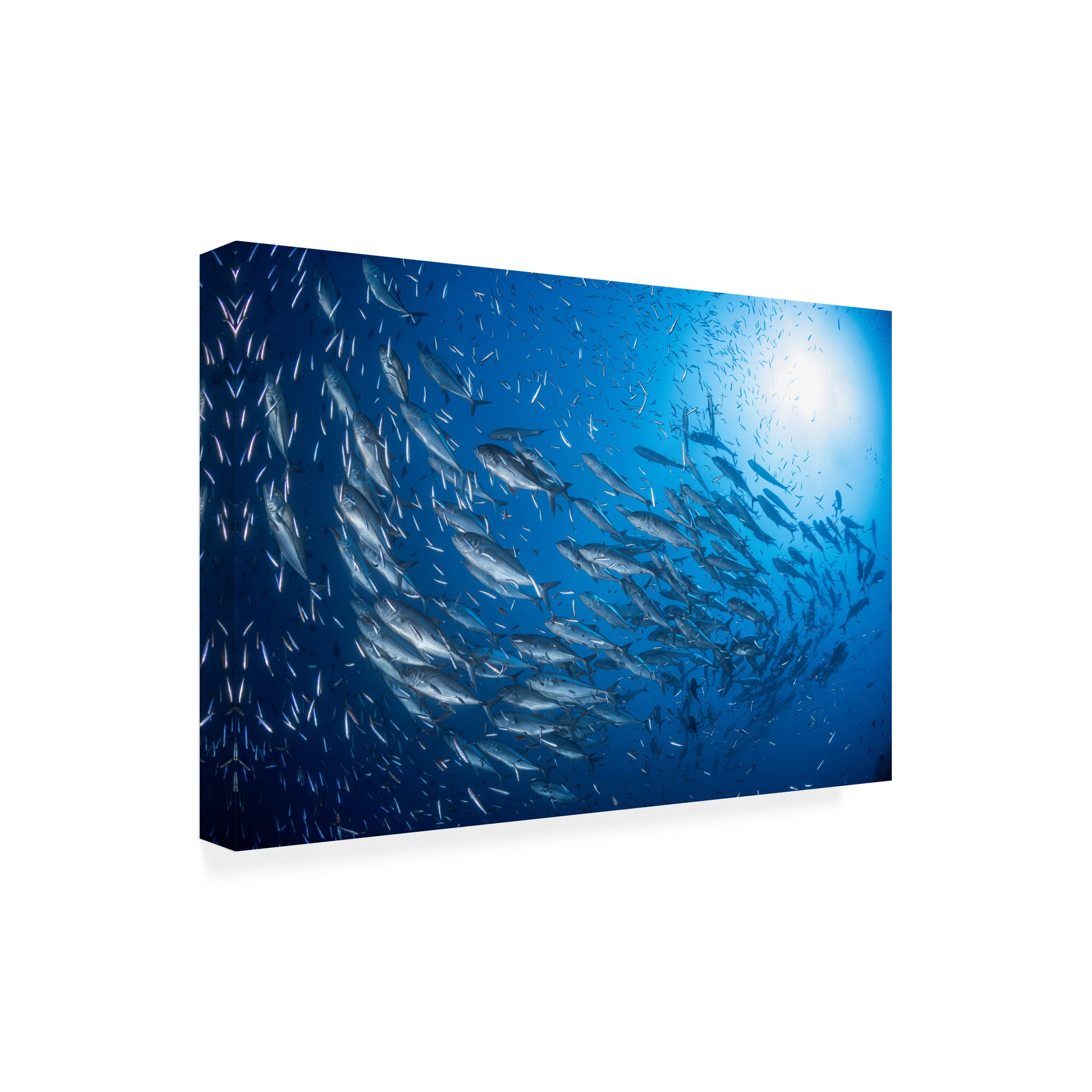 Barathieu Gabriel 'A School Of Trevaly' Canvas Wall Art Print - Tropical Fish Ocean Painting for Living Room, Bedroom & Office Decor