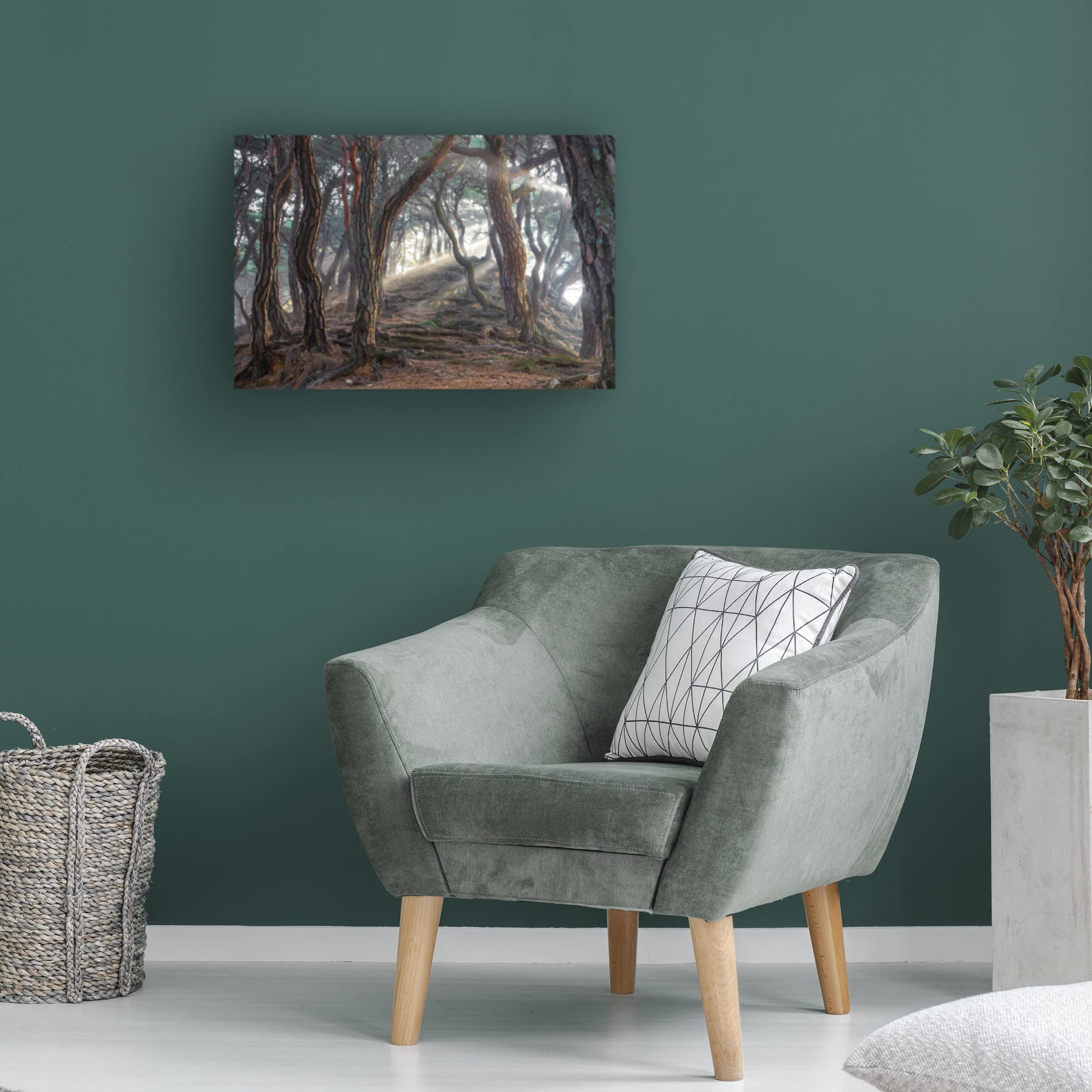 Trademark Fine Art 'Sacred Pine Forest' Canvas Wall Art Print by Jaeyoun Ryu - Asian Landscape Painting for Living Room, Bedroom & Office Decor