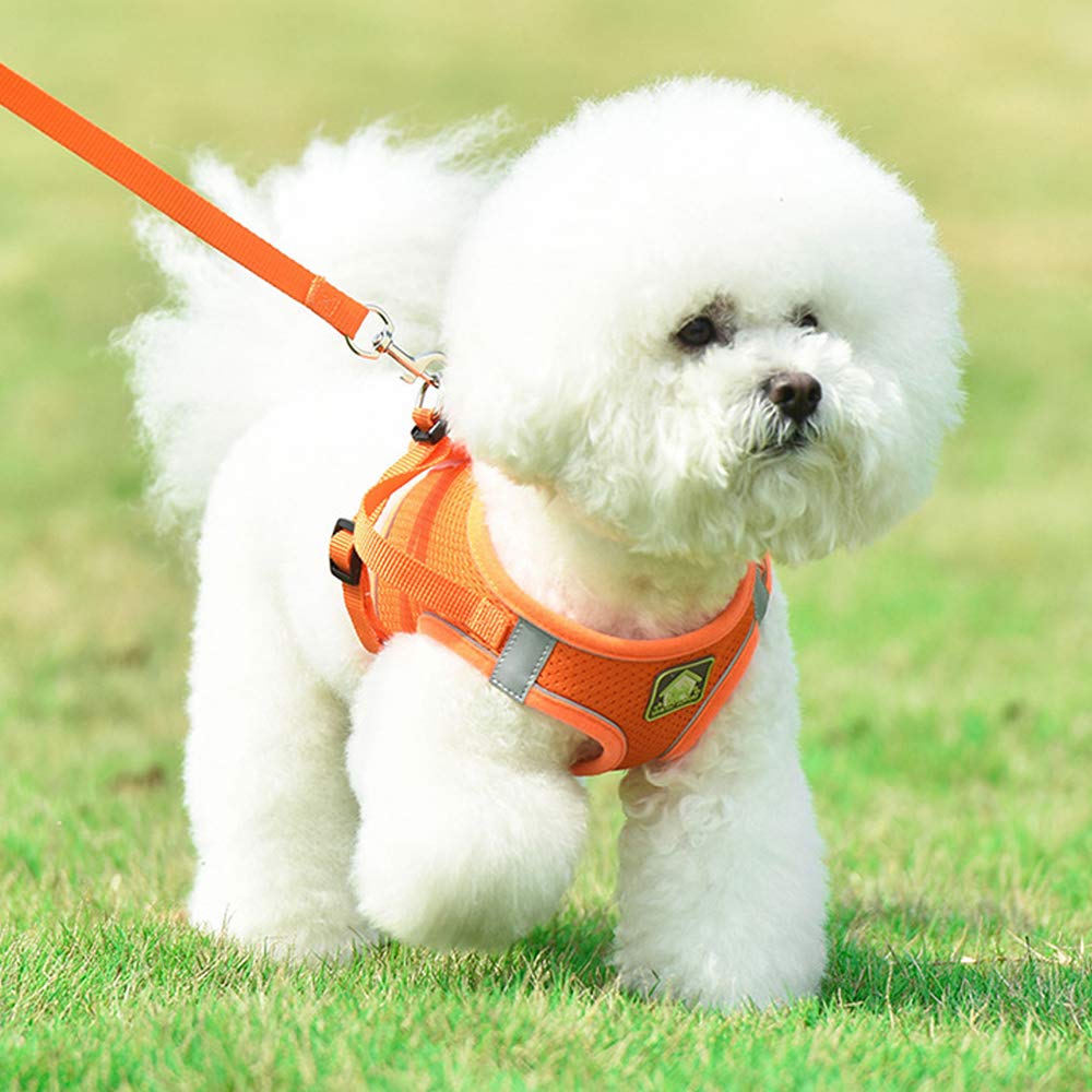 Leconpet Step-in Dog Harness & Leash Set - Breathable Mesh Reflective Vest for Small & Medium Dogs - Adjustable Puppy Harness (Orange, XS) - Perfect for Walking, Training & Outdoor Adventures