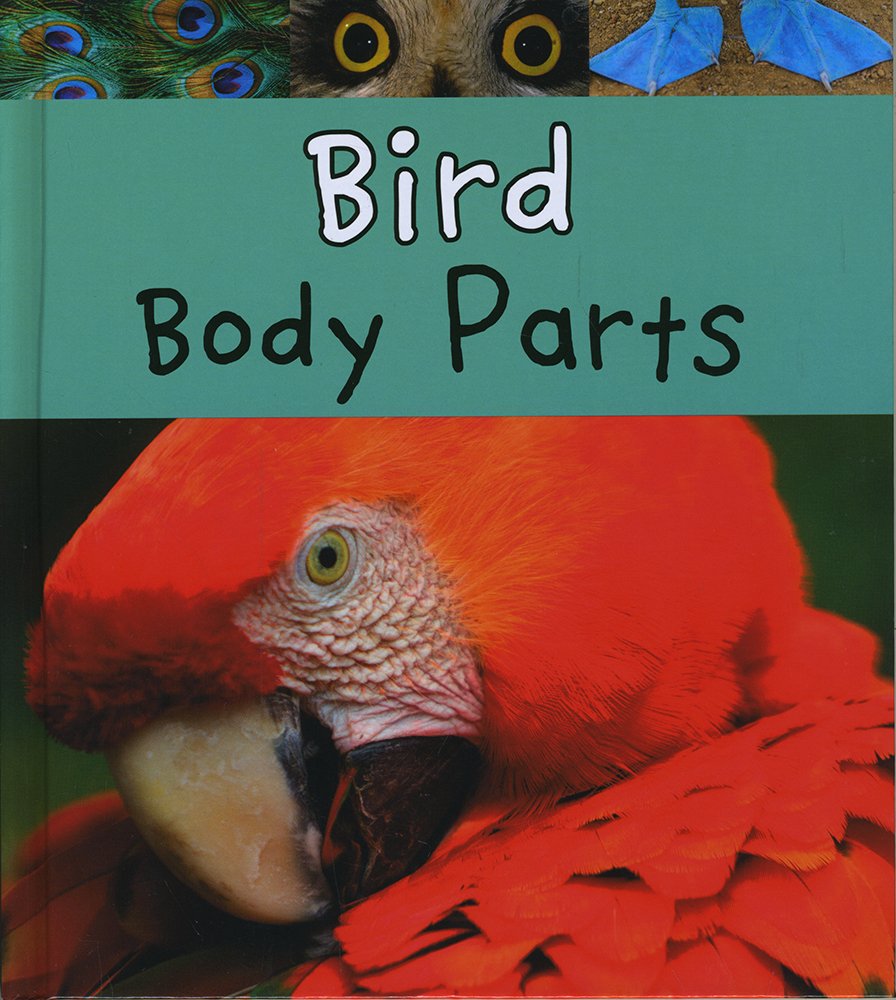 Bird Body Parts - Read and Learn Animal Anatomy for Kids | Educational Science Book for Classroom & Homeschooling
