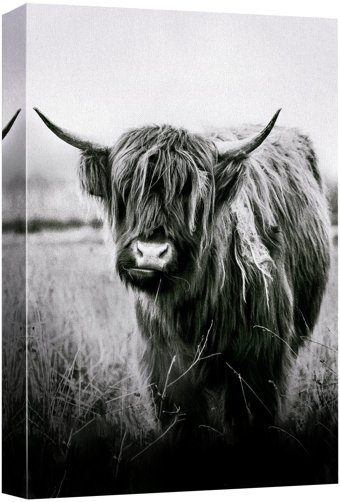Premium Black & White Shetland Farm Cow Canvas Print - Modern Nature Photography Wall Art for Farmhouse & Country Decor - Calming Animal Portrait for Living Room, Bedroom, Office - 32x48 Inches - Perfect for Home, Office & Relaxation Spaces