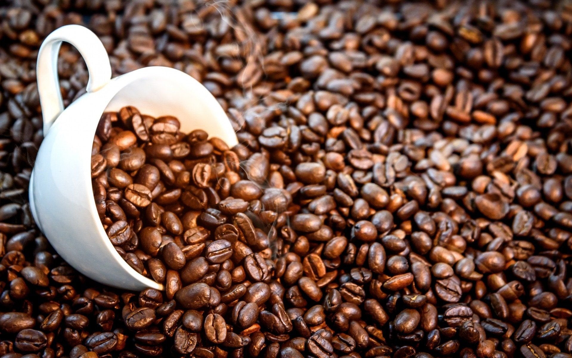 Bully Brew Espresso - Premium Dark Roast Coffee Beans for Strong & Smooth Espresso Shots | Perfect for Home Brewing, Office Use & Coffee Shops