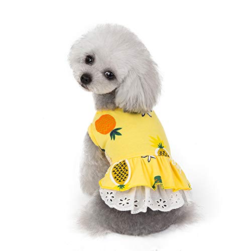 Fruit Yellow
