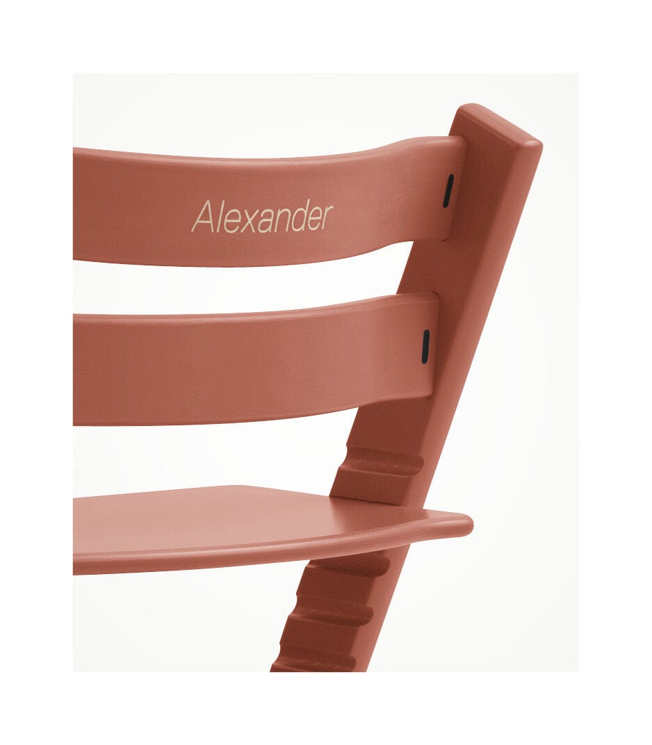 Stokke Tripp Trapp High Chair - Adjustable Baby to Toddler Wooden Chair with Safety Harness | Perfect for Dining, Feeding & Learning at Home