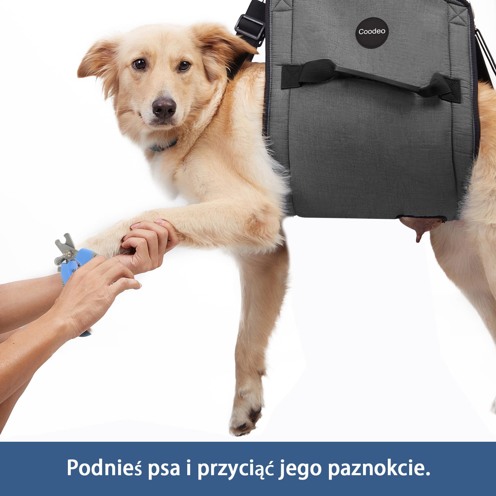 COODEO Dog Lift Harness - Adjustable Pet Sling Carrier for Senior Dogs with Joint Pain, Arthritis & Injuries - Emergency Support for Nail Trimming, Stairs & Rehabilitation (2XL, Black) - Perfect for Elderly Pets, Post-Surgery Care & Mobility Assistance