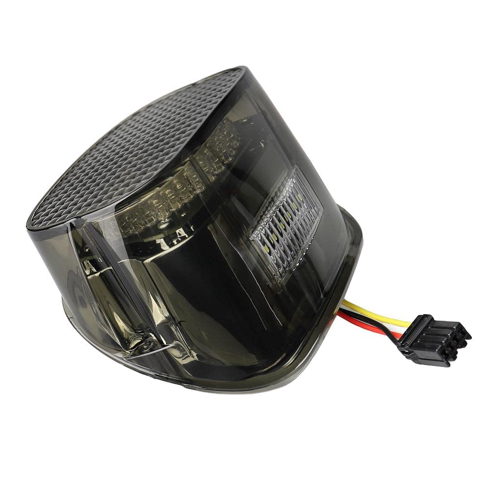 Harley Davidson LED Tail Brake Light Kit - Eagle Lights Flashing Strobe Squareback with Smoked Lens & License Plate Window | Waterproof Motorcycle Accessories for Night Riding & Safety Enhancement