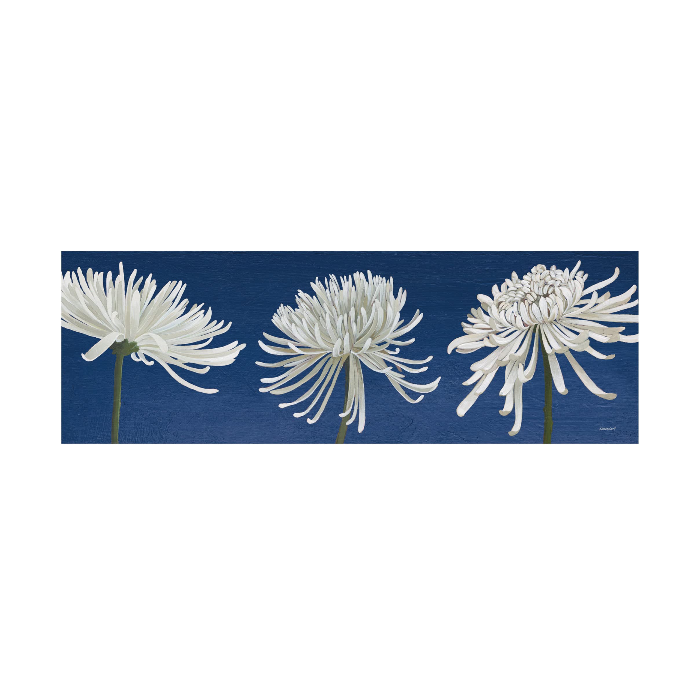 Trademark Fine Art 'Morning Chrysanthemums V Indigo' Canvas Wall Art Print by Kathrine Lovell - Floral Home Decor for Living Room, Bedroom & Office
