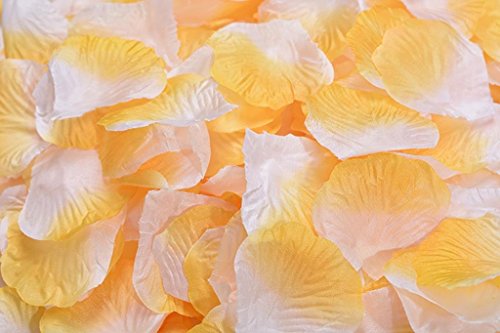 Orange and White
